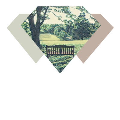 Diag Media